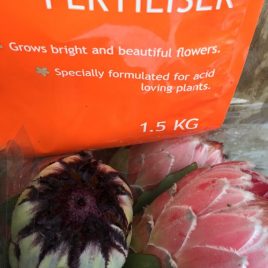 A Fertiliser for Protea/Banksia etc 1.5kg bag