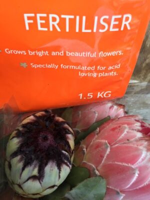 A Fertiliser for Protea/Banksia etc 1.5kg bag